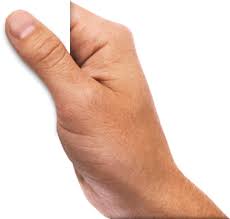 Download Png Image Hands Png Hand Image Free Hand Images Hand Holding Something Png
