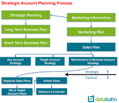 The strategic account plan template is designed to help the account management team effectively prepare and stay focused on the customer's business objectives to ensure they achieve the planned results, create a consistent the tabs in the microsoft excel spreadsheet include the following the final tab will automatically output a beautifully. 2019 Strategic Account Plan Template Databahn