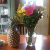 Maybe you would like to learn more about one of these? Top 938 Avas Flowers Reviews Page 4