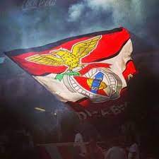 Bandeira vermelha sl benfica com a dimensão 150 x 90 cm. 260 Benfica Ideas Football Football Love Sports