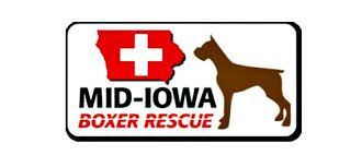 Boxer puppies for sale boxers bulldogs puppy love dog lovers pitbulls dog cat adoption cute. Mid Iowa Boxer Rescue Home Facebook