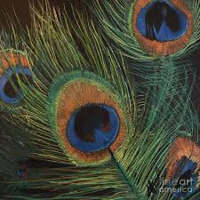 How to draw a peacock feather in color pencils | realistic peacock feather drawingi am showing how to draw a peacock feather using colored pencils.art materi. Peacock Feathers Drawing By Marianne Royston