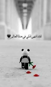 لقد أنتهى أ ملي في هذا العالم movie quotes funny christmas engagement photos short quotes love