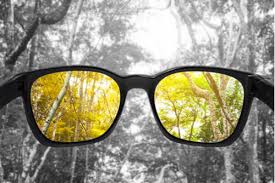 Color blindness is an often misunderstood condition. 14 Things To Know About Being Color Blind