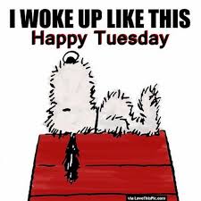 It can be a day where we focus on. Funny Tuesday Quotes Tuesday Quote Memes Fit For Fun