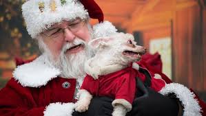 Gallery: Pups pose with Santa Claus