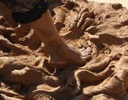 Sản xuất gạch xây dựng xây dựng - DIC LONG AN