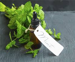 Image result for Peppermint Oil