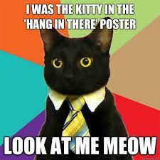 Pin By Some Artistic Musings On Awesome Business Cat Meme Business Cat Cat Memes