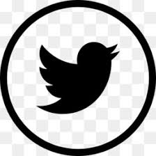 Image result for twitter symbol