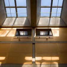 Image result for Discopodium penninervium