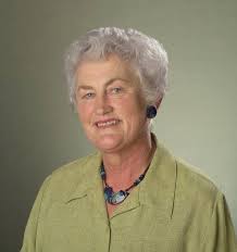 Comment: Te Arawa plan damages local democracy