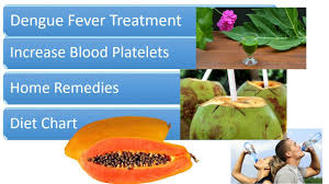 Dengue Fever Treatment Home Remedies And Diet Chart Increase Blood Platelets Count