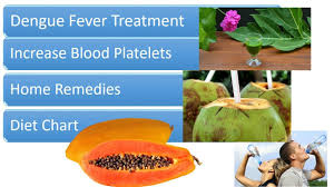 dengue fever treatment home remedies and diet chart increase blood platelets count