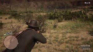 I am assuming you can get perfect skins from them. Red Dead Redemption 2 Desert Iguana Location Hunting Perfect Iguana Skin Youtube