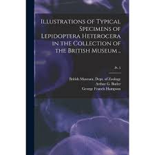 Illustrations of Typical Specimens of Lepidoptera Heterocera in the  Collection of the British Museum ..; pt. 5 (Paperback)