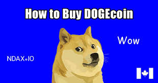 How to buy dogecoin (doge) in canada using newton. How To Buy Dogecoin In Canada 3 Ways 2021