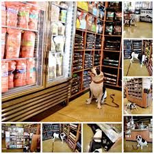 398 n hbr cy blvd ste a melbourne, fl 32935 get directions. Exploring Kriser S Natural Pet Store Your Sassy Self