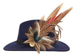 Pin By Mindy Brooks On Lydia S Luxury Hats Feather Crafts Cowboy Hats