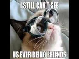 Despite these cats didn't grace the silver screen like monty and grumpy and just live their ordinary feline life, they still did you know that the memes featuring funny kittens exploded in january 2007? Funniest Grumpy Cat Memes Clean Grumpy Cat