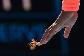 Naomi osaka rescuing a butterfly during the australian open is the most wholesome thing you'll see today sports video wholesome espn 5 months ago. Look Naomi Osaka S Butterfly Encounter At Austalian Open 2021 Sports Photos Gulf News