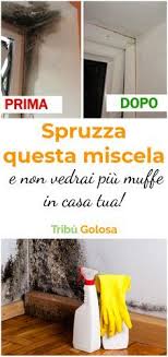 Spruzza Questa Miscela E Non Vedrai Piu Muffe In Casa Tua Rimedi Pulizia Della Casa Consigli Per La Pulizia E Pulizia Della Casa