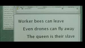 I Wrote Haiku Poems I Emailed Them To Everyone Fight Club Fight Club Fight Club Rules Movie Quotes