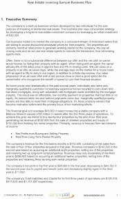 Business Plan For Investors Template Beautiful Investor Executive Summary For Investors Templ Business Plan Example Executive Summary Example Executive Summary
