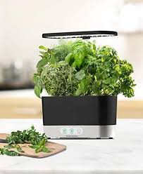 Aerogarden Black Hair In 2020 Gourmet Herbs Herbs Garden Gadgets