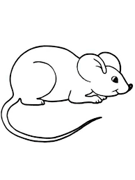 Fuzzy's mouse coloring pages for kids are so fun! Deer Mouse Coloring Page Mouse Are Animals That Have Characteristics On The Frame Of Their Head The Most Prom Pet Mice Dog Coloring Page Snake Coloring Pages