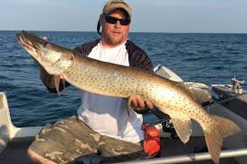 This fish, caught by tangler dan polniak, fishing out of clayton, n.y. Muskie Vs Pike All You Need To Know