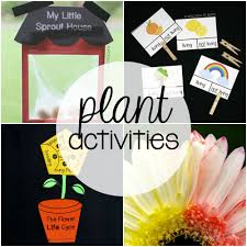 Plant Activity Pack The Stem Laboratory Plant Activities Plants Science Activities Plant Science