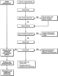 When assessing signs of cardiac arrest in an unresponsive patient, check for absent or abnormal breathing by watching the chest for movements for 5 to 10 seconds. Part 3 Adult Basic Life Support Circulation
