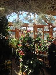 Check spelling or type a new query. The Greenhouse Love The Hanging Snow Clusters Winter Wedding Idea Valley Forge Flowers Wayne Pa Flowers House Styles Winter Wedding