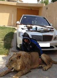 Ecuavisa - #FOTOS | Hijos de narcotraficantes mexicanos presumen sus lujos  en redes sociales Alfredo Guzmán y Serafín Zambada muestran sus lujos y  excentricidades en Twitter y Facebook. Más información:  http://bit.ly/1aOPdO7 |