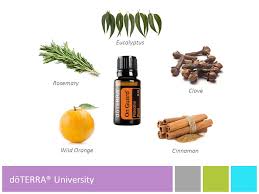 We did not find results for: DÅterra On Guard DÅterra Product Tools DÅterra Product Tools Ppt Video Online Download