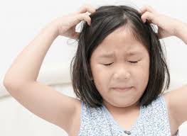 How do you treat head lice?. By Alison Bernstein — For SciMoms