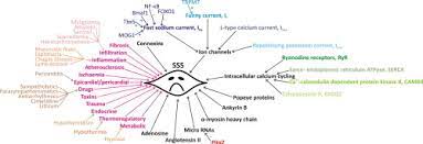 Sick Sinus Syndrome And Atrial Fibrillation In Older Persons A View From The Sinoatrial Nodal Myocyte Sciencedirect