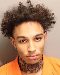 Man who allegedly injured an officer during a scuffle charged with assault