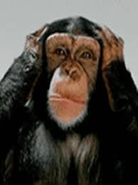 Https Encrypted Tbn0 Gstatic Com Images Q Tbn 3aand9gctvuyoof Uwlzfifnempxvbk5wcmsgbf5w 7a Usqp Cau