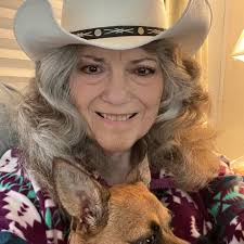 Pet Safety During Extreme Weather in St Augustine