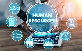 Check spelling or type a new query. Human Resources Images Free Vectors Stock Photos Psd