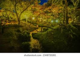 2,375 Maple Leaf Hunting Images, Stock Photos, and Vectors