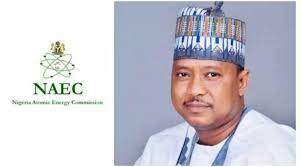 Buhari Appoints ABU Professor As New NAEC Chairman/CEO