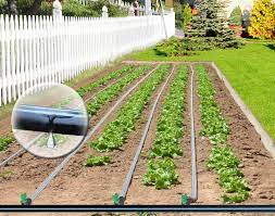 Setting up drip irrigation is a smart alternative. Garden Drip Tape Irrigation Kit 1 000 Bioplus Dubois Agrinovation Ca