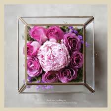 We did not find results for: Camila V Flower Preservation