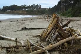 Check spelling or type a new query. New Brighton State Beach In Capitola California Kid Friendly Attractions Trekaroo