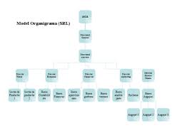 Crearea unei organigrame asistență office. Model Organigrama Srl