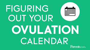 If your cycle is regular, this ovulation calculator app can provide the answer to these questions. The 8 Best Period And Ovulation Tracker Apps For Getting Pregnant Parents