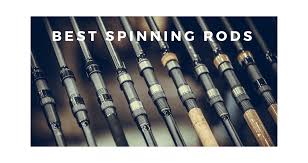 St croix triumph inshore spinning rod review. Best Spinning Rods 2021 Buyers Guide Fishing My Way